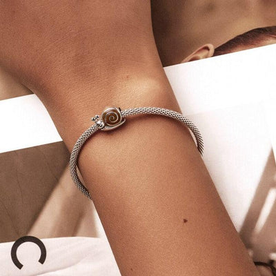 Silver Snail & Caterpillar - Figueira